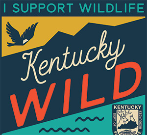 Kentucky Wild logo
